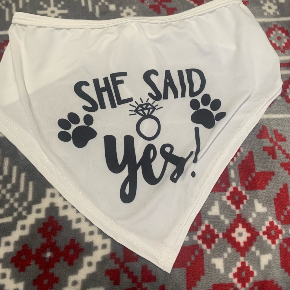 Engagement dog bandanas.